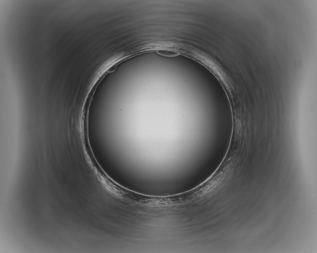 X0000116561050200912171406