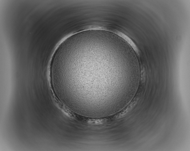 X0000116561051200912171406