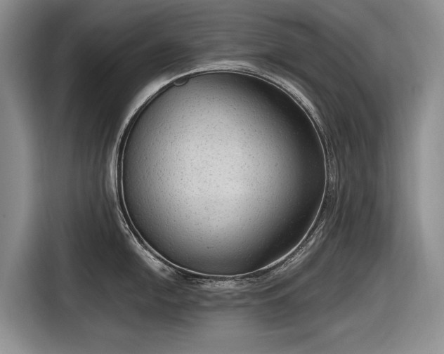 X0000116561054200912171406