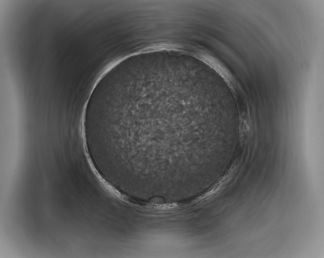 X0000116561055200912171406