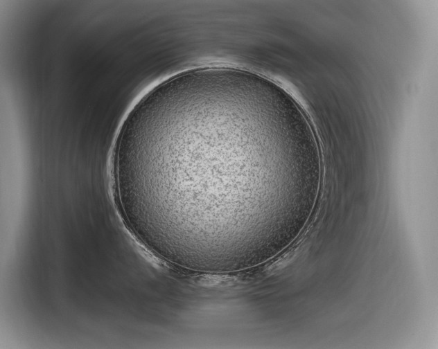 X0000116561056200912171406