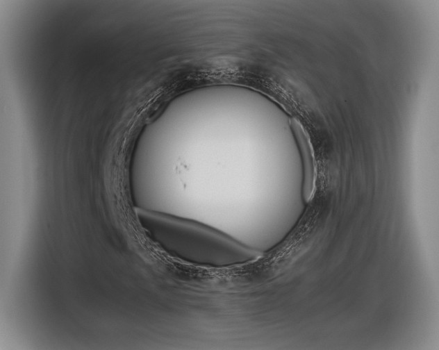 X0000116561057200912171405