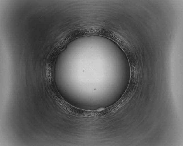 X0000116561058200912171405