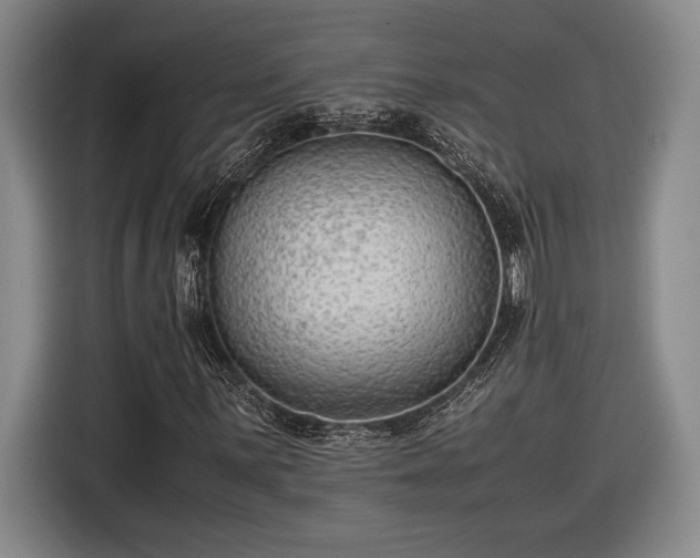 X0000116561059200912171405