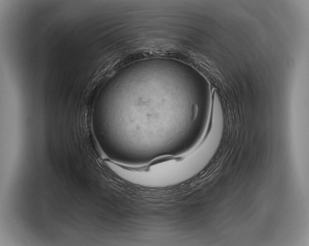 X0000116561060200912171405