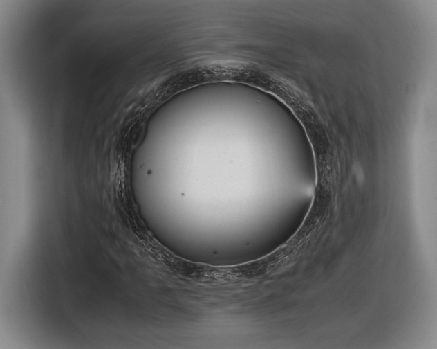 X0000116561061200912171405