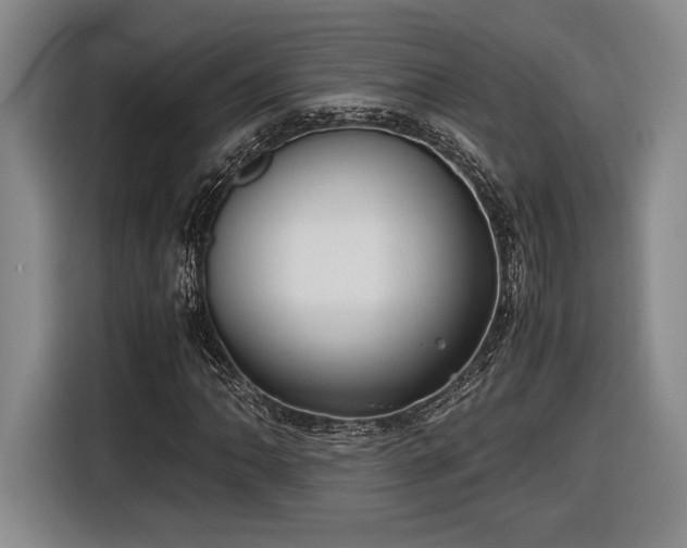 X0000116561062200912171405