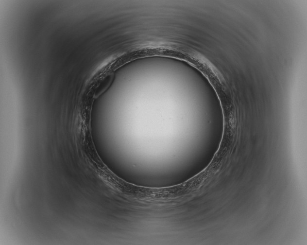 X0000116561064200912171405