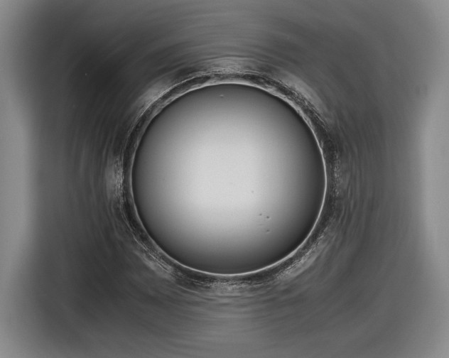 X0000116561065200912171405