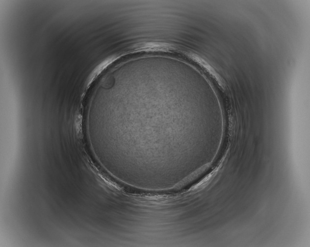 X0000116561066200912171405