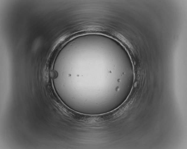 X0000116561067200912171405