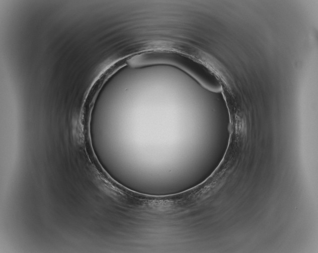 X0000116561068200912171405