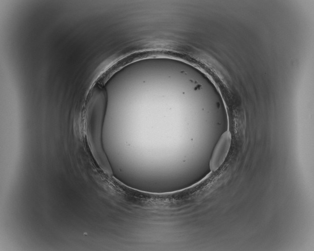 X0000116561069200912171405