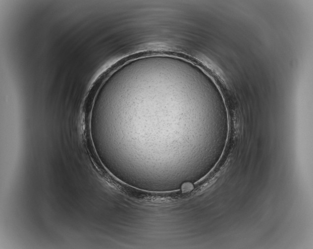 X0000116561070200912171405