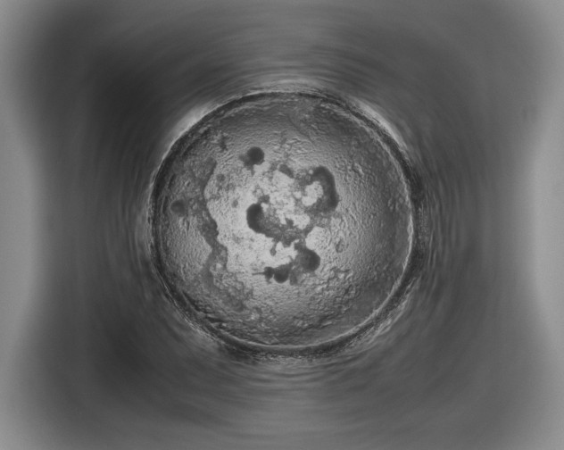 X0000116561071200912171405