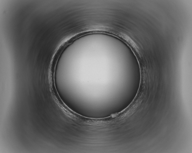 X0000116561072200912171405