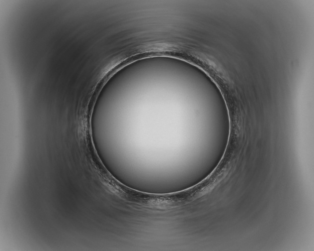 X0000116561073200912171405