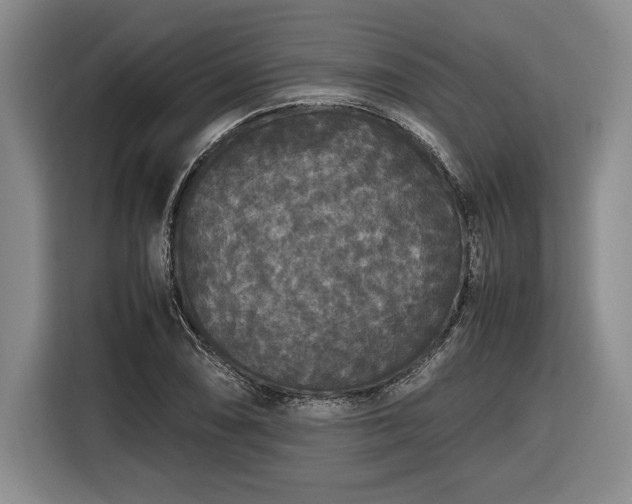 X0000116561074200912171405