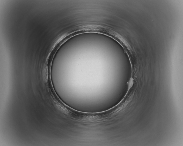 X0000116561075200912171405