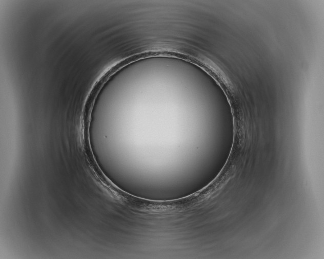 X0000116561076200912171405