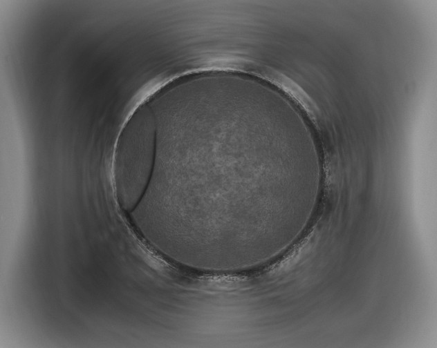 X0000116561077200912171405