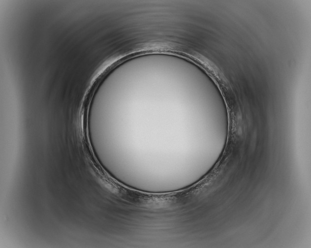 X0000116561078200912171405