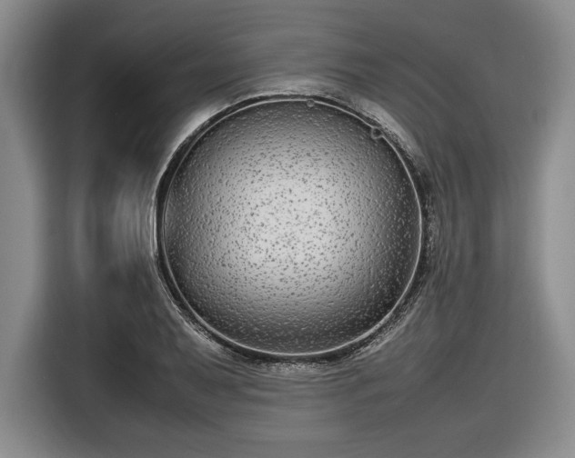 X0000116561079200912171405