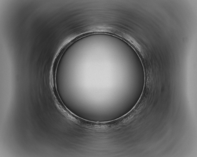 X0000116561080200912171405