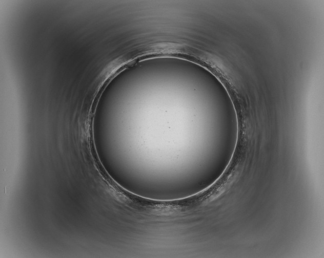 X0000116561081200912171405