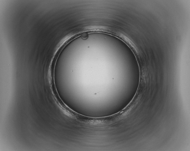 X0000116561082200912171405