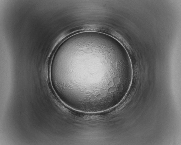 X0000116561083200912171405