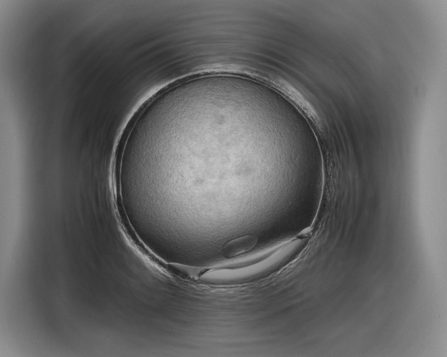 X0000116561084200912171405