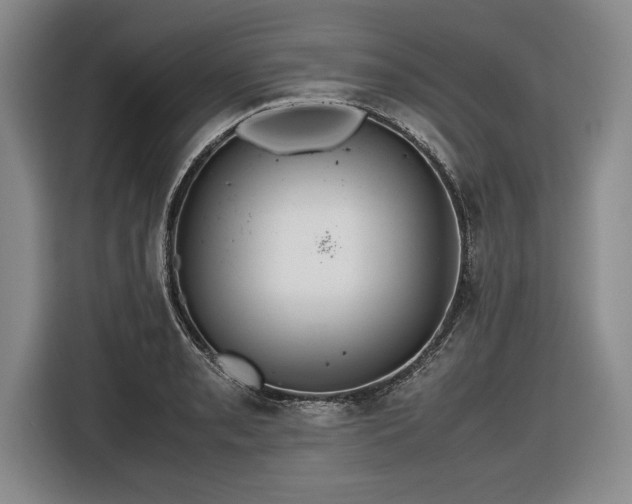 X0000116561085200912171405