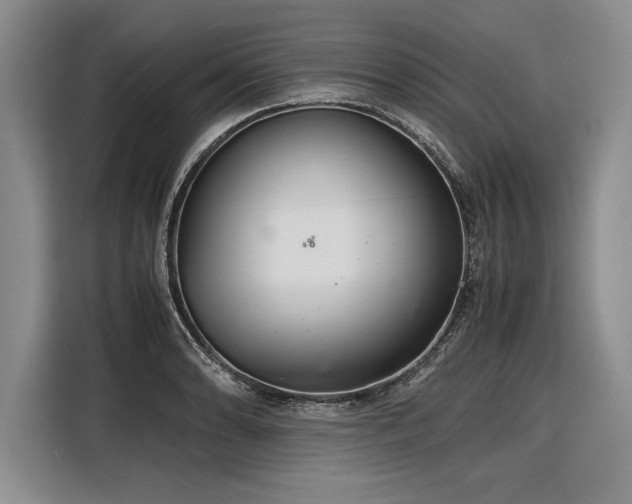 X0000116561086200912171405