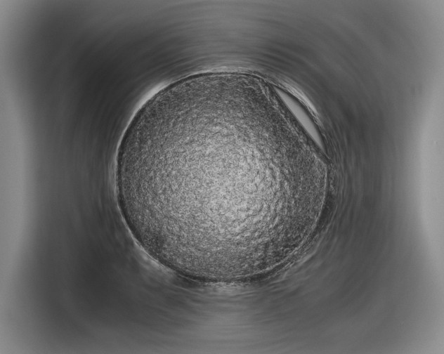 X0000116561087200912171405