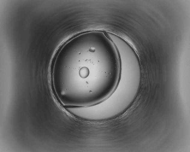 X0000116561088200912171405