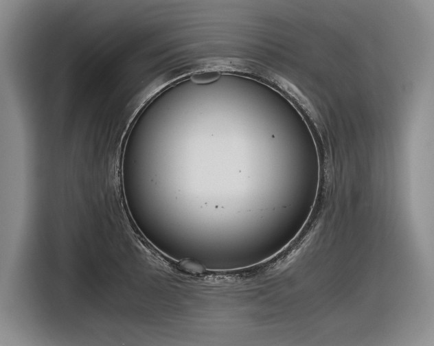 X0000116561089200912171405