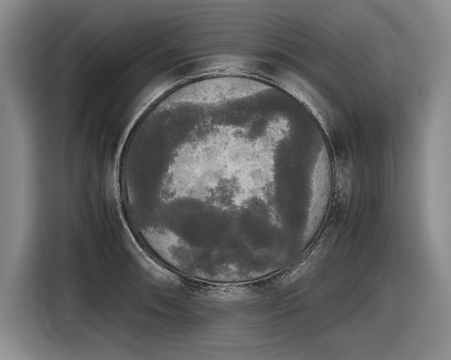 X0000116561090200912171405