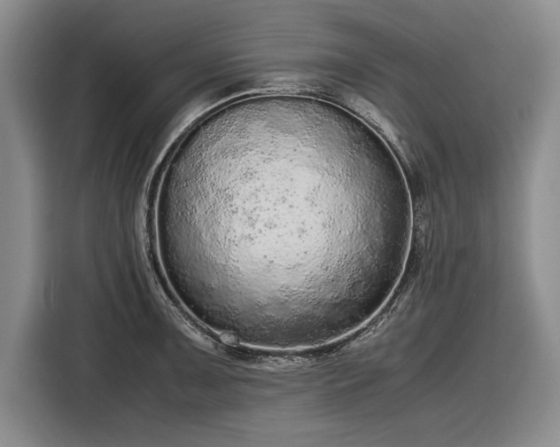 X0000116561091200912171405