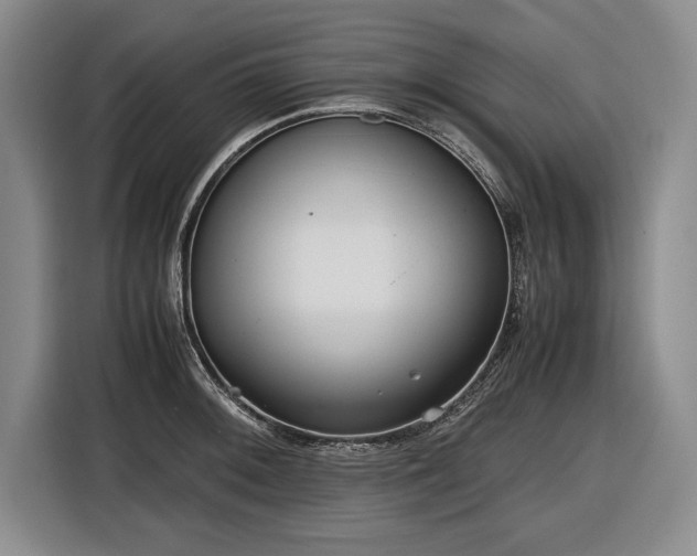 X0000116561092200912171405