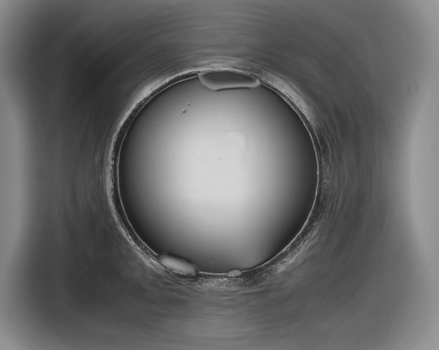 X0000116561093200912171404