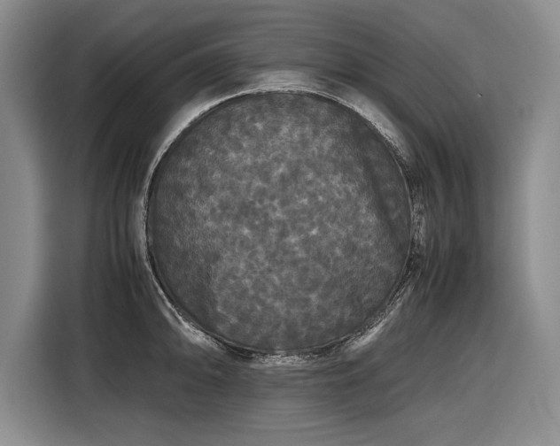 X0000116561094200912171404