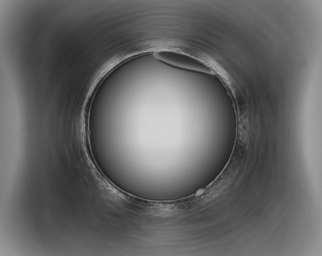 X0000116561096200912171404