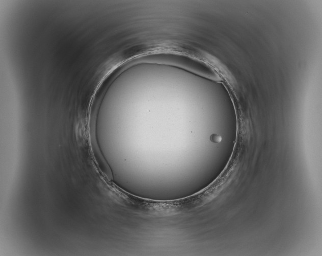 X0000116561097200912171404