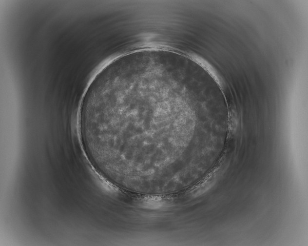 X0000116561098200912171404