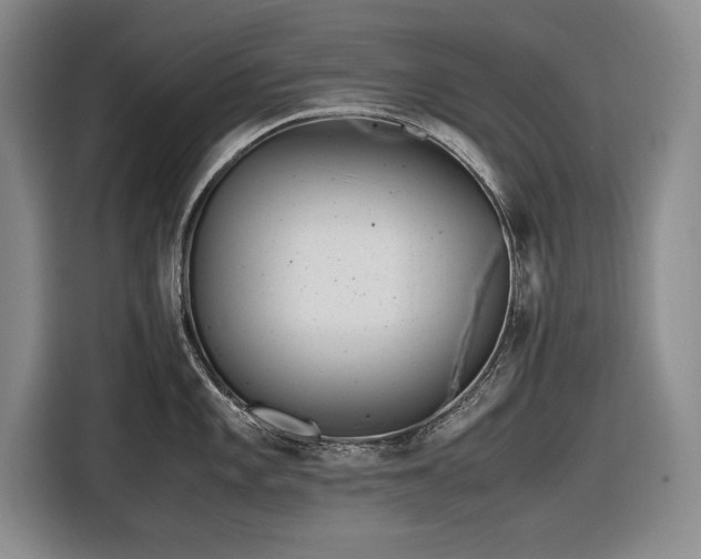 X0000116561101200912171404