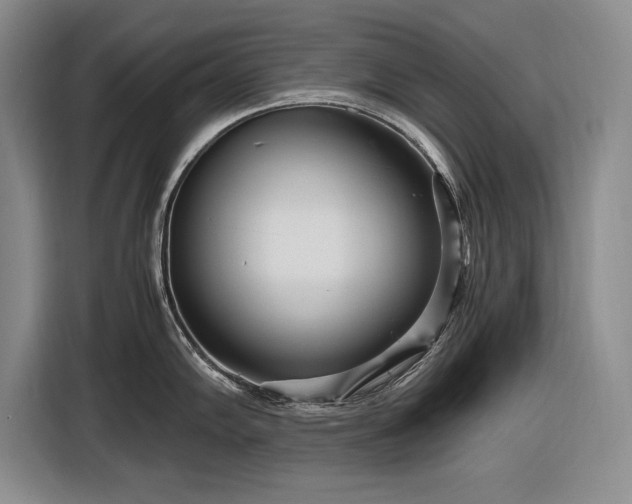 X0000116561102200912171404