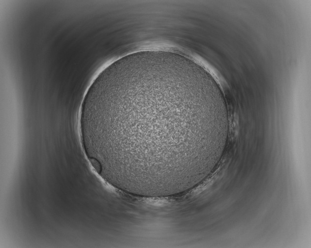 X0000116561103200912171404