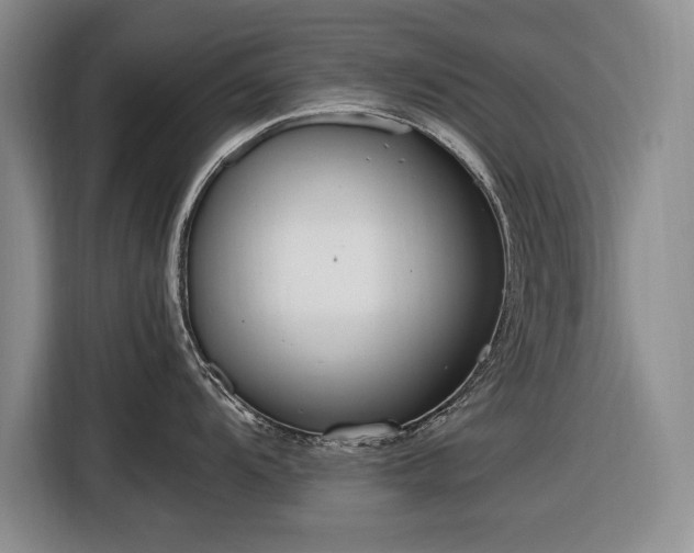 X0000116561104200912171404