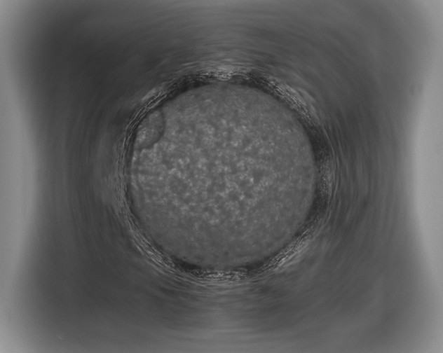 X0000116561105200912171404